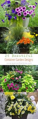 Container Gardening Plants Planting