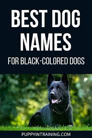 best dog names for black colored dogs