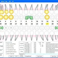 Dental Chart Form 1 Printable Charting Forms Dental Chart
