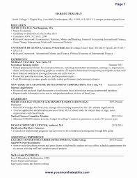 Resume Template College Student Best Sample Resume For Inventory