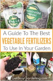 Best Fertilizer For Your Vegetable Garden