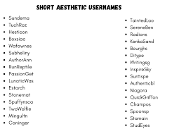 290 catchy short aesthetic usernames ideas