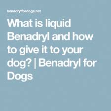 What Is Liquid Benadryl And How To Give It To Your Dog