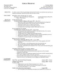 How To Write A Good Resume Examples  Resume Example Great        toubiafrance com