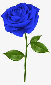 svg blue rose clipart blue rose png