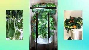 how my hydroponics garden helps grow