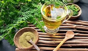 Image result for Moringa still one of the best local anti cancer preparation