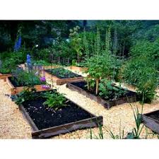 How To Create A Raised Garden Bed