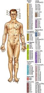 Printable Acupressure Points Chart Auricular Therapy Chart