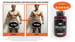 optimum nutrition creatine powder