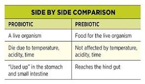 Probiotics Versus Prebiotics Chart Lactobacillus Acidophilus