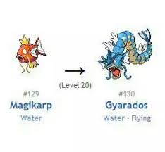 What Is The Evolution Chart Of Gyarados Quora