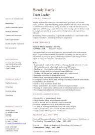 Looking for team leader resume samples? Team Leader Cv Sample