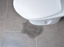 My Toilet Leaking Around The Base