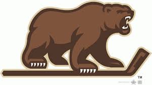 Bear Logo Something Like This Bear Insider