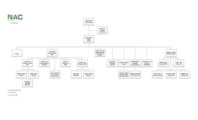 Organizational Chart Nickel Asia Corporation