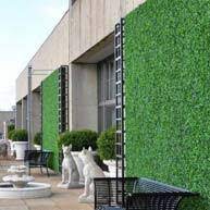 artificial living walls boxwood ivy