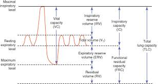 Inspiratory Reserve Volume An Overview Sciencedirect Topics