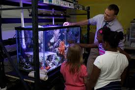 setting up an educational aquarium
