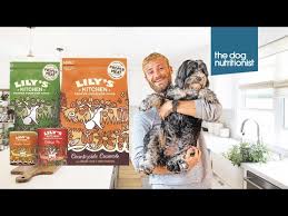 kitchen dry and wet dog food review