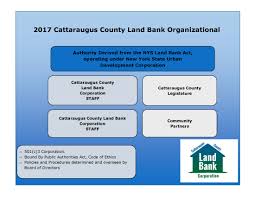 Organization Structure Cattaraugus County Land Bank