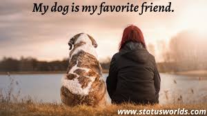 They well all indoor animals except of course for the horses. 100 Best Famous Dog Status Quotes 2021 For A Dog Lover Status World