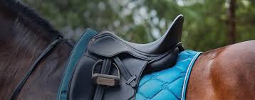 The Official Collegiate Saddlery Website
