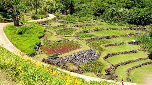 limahuli garden near kee beach