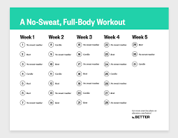 a no sweat full body workout for a