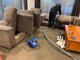 carpet cleaners christchurch