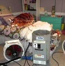 bed bug heat treatments what to know