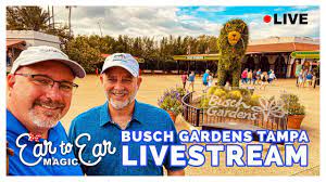 live busch gardens ta livestream