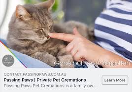 All of our packages have optional inclusions that you can discuss with any of the pets at rest qld team. Passing Paws Petcrem Passingpawswa Twitter