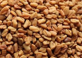 Protein content is highly variable in the fenugreek seeds and it can be up to 2.3 grams per 10 grams. What Is Fenugreek Seed Lymph Cleanser And Testosterone Booster