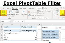 pivot table filter in excel how to