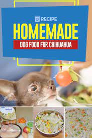 homemade dog food for chihuahua recipe