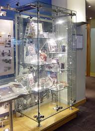 Custom Glass Display Cabinets For Bovis