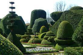 the importance of topiary lorfords