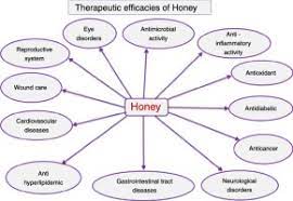 Collecting honey effects them directly because you have to mess with their hive and their life. Biological And Therapeutic Effects Of Honey Produced By Honey Bees And Stingless Bees A Comparative Review Sciencedirect