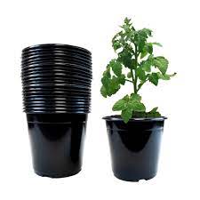 viagrow 1 gal plastic nursery pots 3 78 liters 20 pack