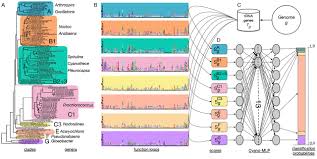 Robust Estimation Of The Phylogenetic Origin Of Plastids