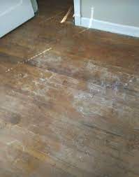 revive floor care okc hardwood floor