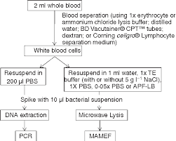 Figure 1 From Adaptation Of Red Blood Cell Lysis Represents