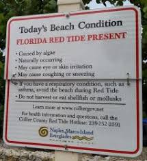 Beach Water Quality Naples Florida