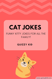 jokes and riddles archives quizzy kid