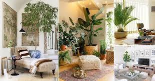 21 tall plants for living room corner
