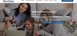 saniclean dry carpet cleaning general