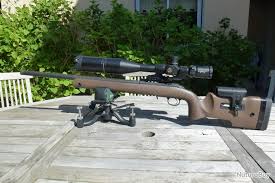 carabine ruger american rimfire long