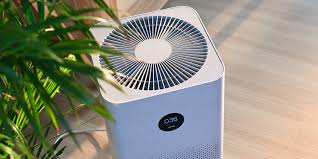 Should I buy an air purifier? Experts discuss
