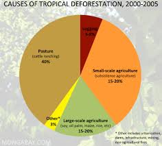 53 Symbolic Deforestation Charts